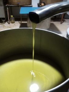 Olio Extravergine Lucrezia